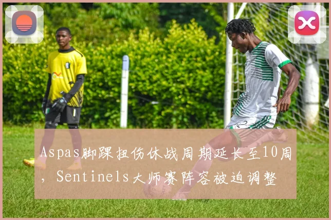 Aspas脚踝扭伤休战周期延长至10周，Sentinels大师赛阵容被迫调整